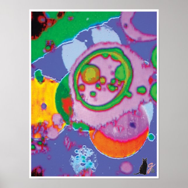 Póster Imagen de Juicey KC (Frente)