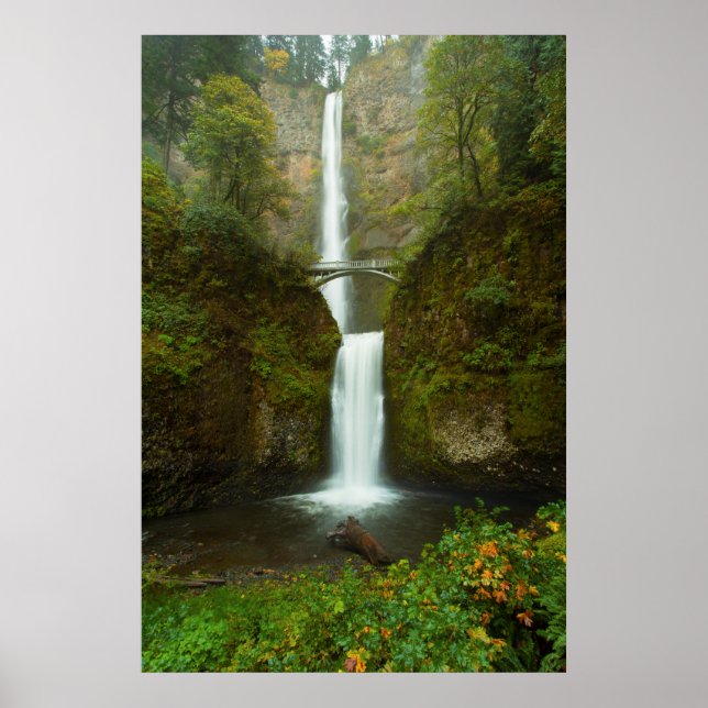 Póster Imagen de la cascada de Multnomah Falls (Frente)