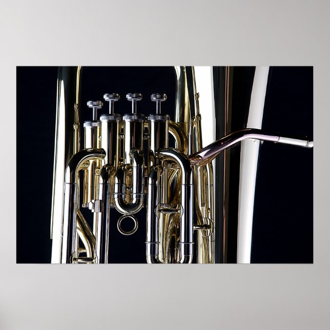 Póster Imagen de la fotografía de Tuba (Frente)