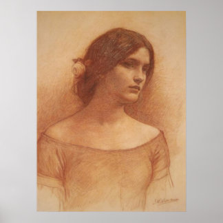 Póster Imagen de Lady Clare Canvas