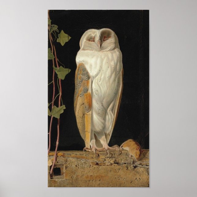 Póster Imagen de lechuza vintage (Frente)