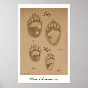 Póster Imagen de Lily and Hope Paw