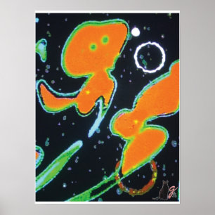 Póster Imagen de Punkin KC
