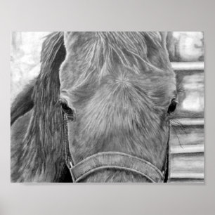 Póster Imagen de Rodeo