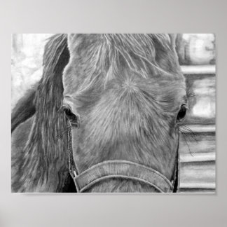 Póster Imagen de Rodeo