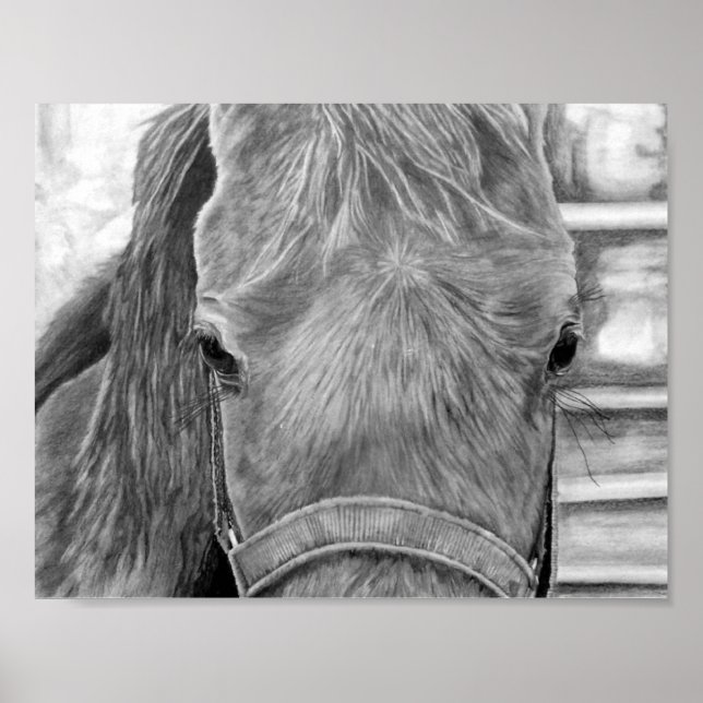 Póster Imagen de Rodeo (Frente)