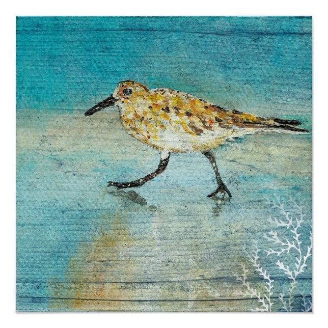 Póster Imagen de Sandpiper Beach Shorebird (Anverso)
