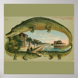 Póster Imagen de St. Augustine Florida de 1905