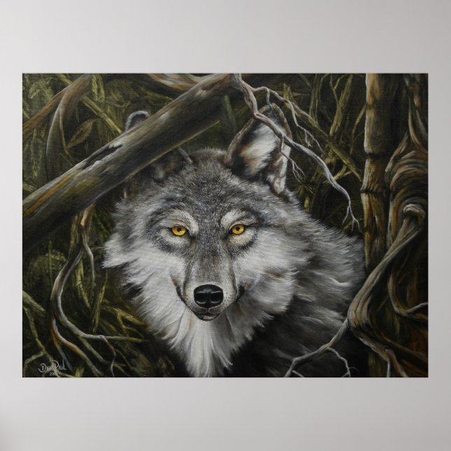 Póster Imagen del lobo de ojos vigilantes (Frente)