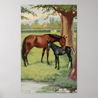 Póster Imagen ecuestre vintage Mare Colt Filly Horse