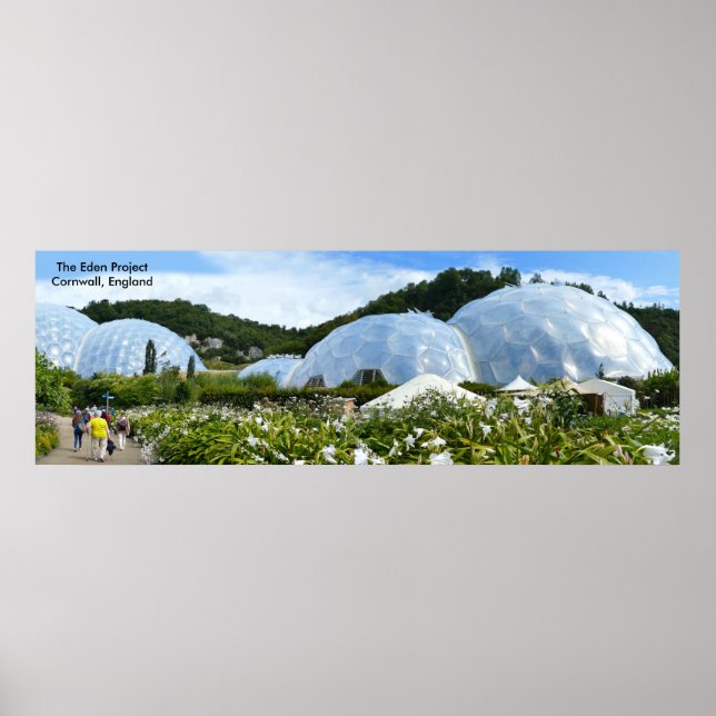 Póster Imagen en inglés para poster (Frente)