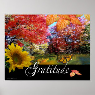 Póster Imagen Gratitud