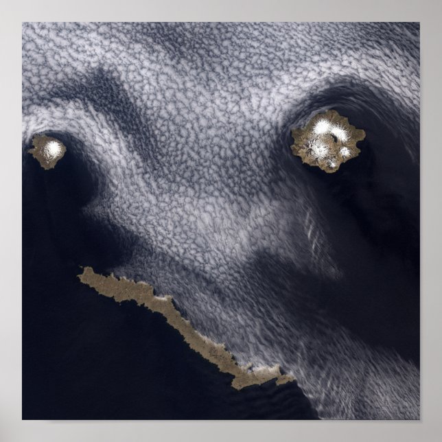 Póster Imagen satelital de la isla Semisopochnoi (Frente)