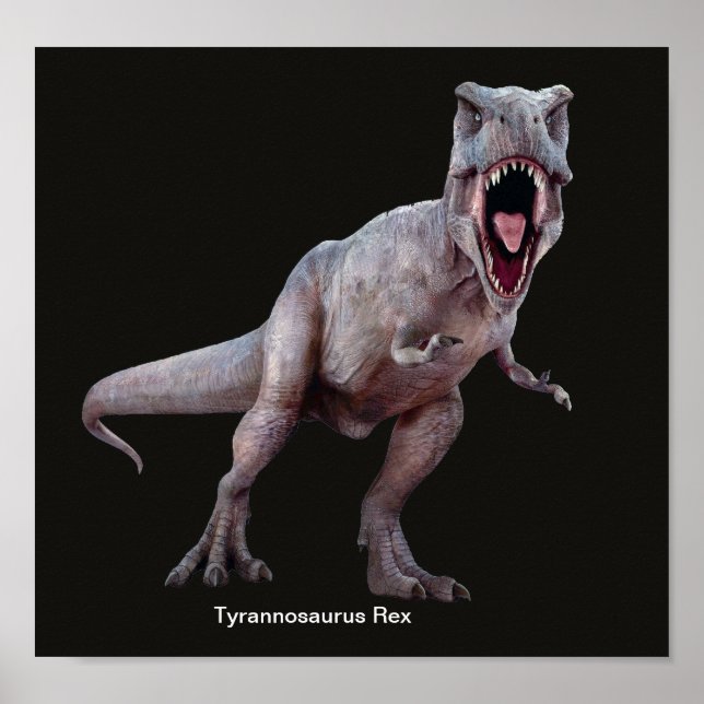 Póster Imagen T-Rex para Poster (Frente)