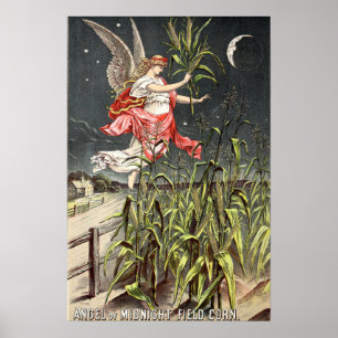 Póster Imagen Vintage Del Catálogo De Semillas De 1886
