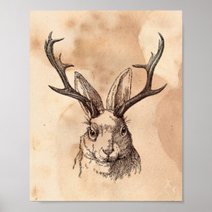 Póster Imagen vintage Jackalope Rabbit Tea Sed Paper