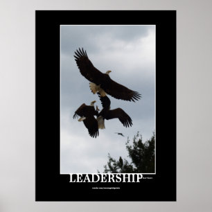 PÓSTER IMÁGENES MOTIVATIVAS DE LIDERAZGO DE ÁGUILA DE BAL