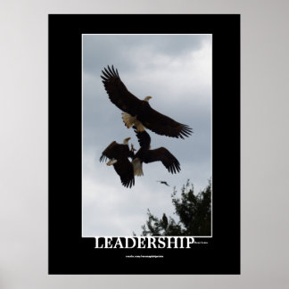 PÓSTER IMÁGENES MOTIVATIVAS DE LIDERAZGO DE ÁGUILA DE BAL