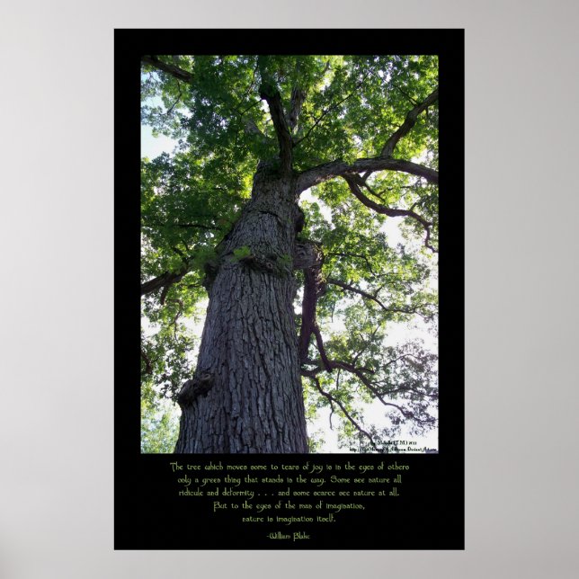 Póster Imaginar (Frente)