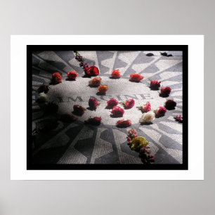 Póster Imagínese Mosaic Central Park