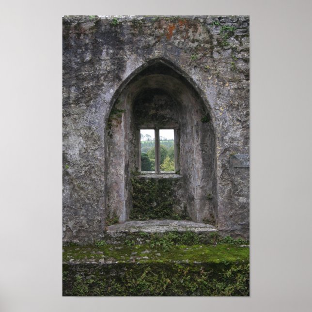 PÓSTER IMG_0730 (Frente)