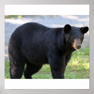 Póster IMG_5587_editado