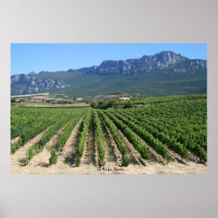 Póster IMG_6159, La Rioja, España