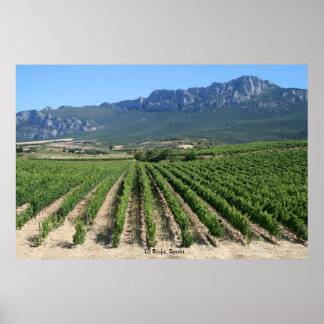 Póster IMG_6159, La Rioja, España