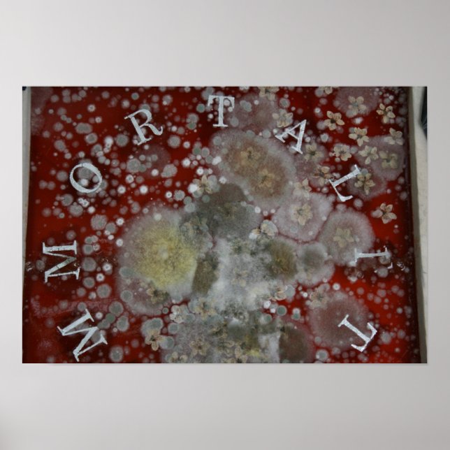 Póster Immortality (Frente)