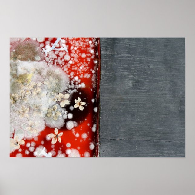 Póster Immortality 2 (Frente)