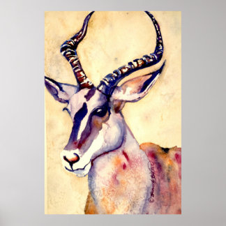 Póster Impala Watercolor