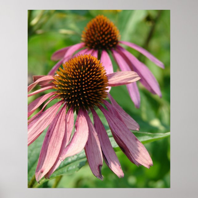 Póster Imperfección (Frente)