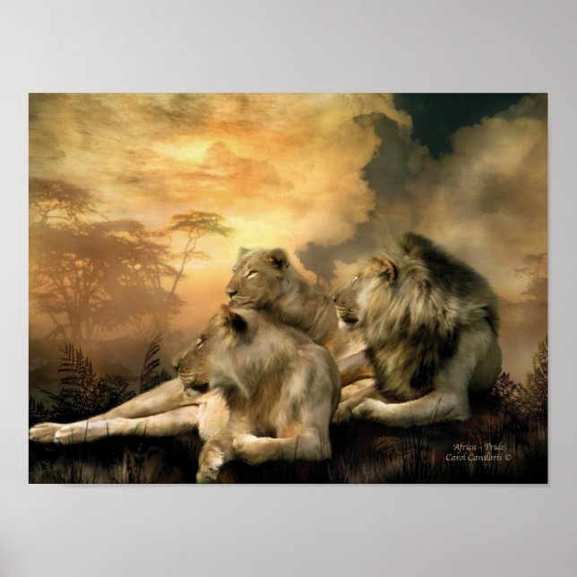 Poster/Impresión de Arte Orgullo Africano (Frente)