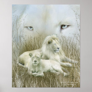 Poster/Impresión Del Arte De Los Leones Blancos