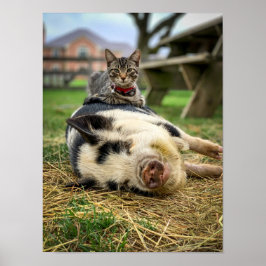 Póster ¡Impresión Ernest & Sassy!