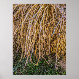 Póster Impresión, papel Poster (semirbrillante)