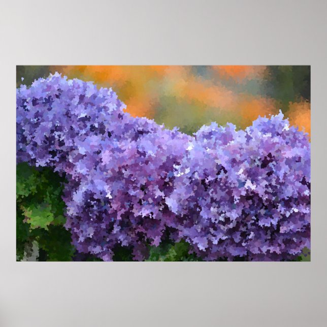 Póster Impresionista Hydrangea Poster (Frente)