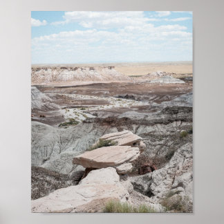 Póster Impreso Bosque Petrificado Papel (Semi Bril
