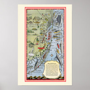 Póster impreso de peces de Florida 12x18
