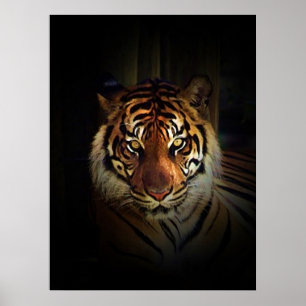Póster Impreso de Tigre de Sumatra