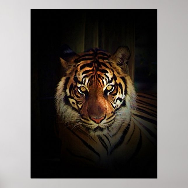 Póster Impreso de Tigre de Sumatra (Frente)