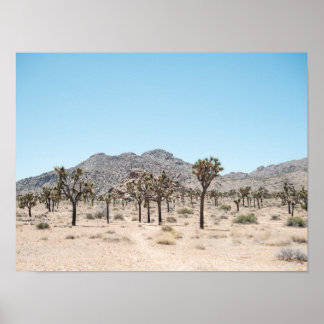 Póster impreso en papel de parque Joshua Tree (sem