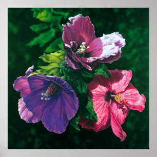 Póster Impresora poster Hawai Hibiscus