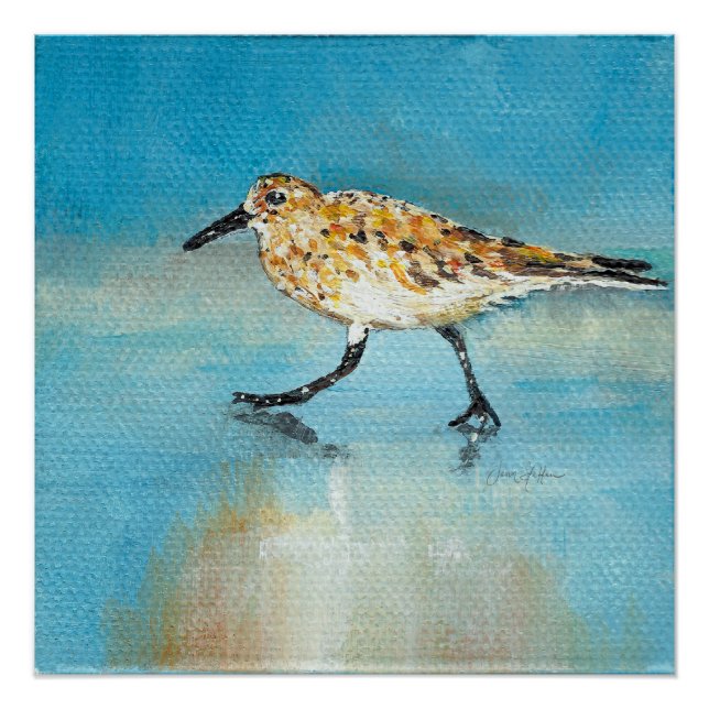 Póster Imprimir arte de pintura de Sandpiper (Anverso)