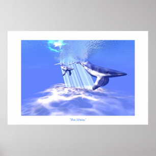 PÓSTER IMPRIMIR BALLENAS AZULES