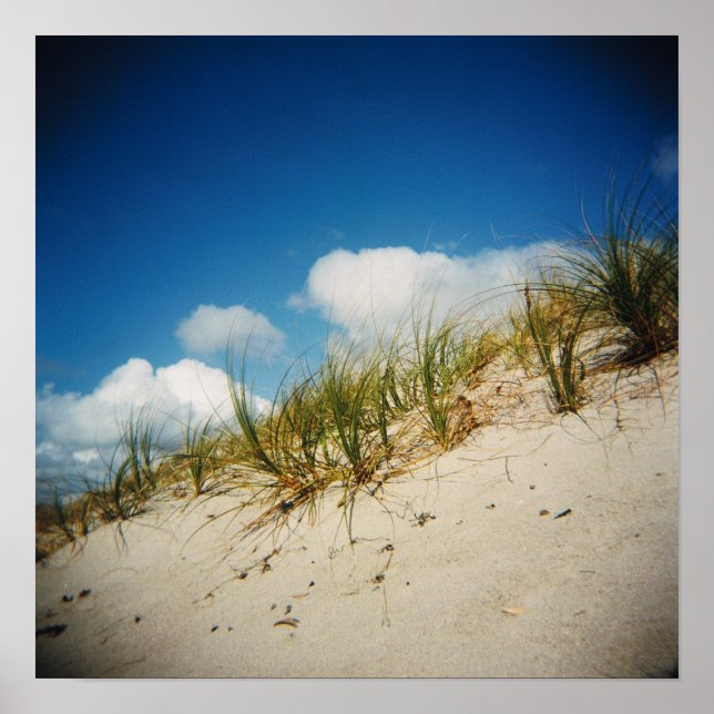 Póster Imprimir dunas de arena (Frente)