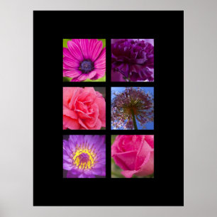 Póster Imprimir - Flores rosa y morada