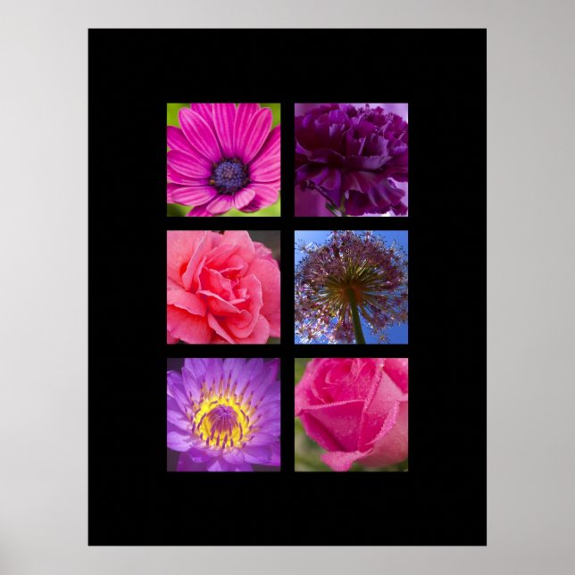 Póster Imprimir - Flores rosa y morada (Frente)