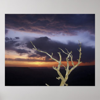 Póster Imprimir - Gran Cañón Sunset