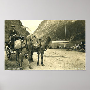 Póster Imprimir - Gudvangen, Noruega